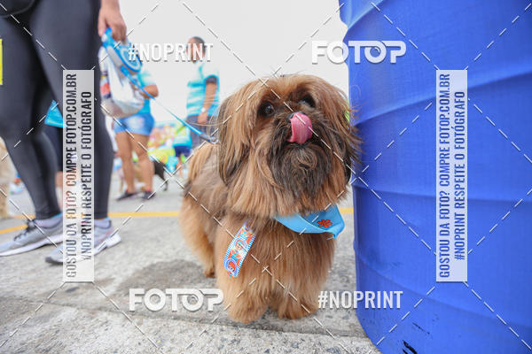 Buy your photos of the eventC�orrida Scooby Doo Internacional Shopping Guarulhos 2019 on Fotop