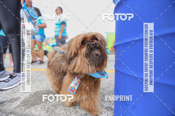 Buy your photos of the eventC�orrida Scooby Doo Internacional Shopping Guarulhos 2019 on Fotop