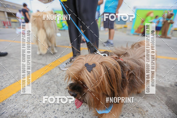 Buy your photos of the eventC�orrida Scooby Doo Internacional Shopping Guarulhos 2019 on Fotop