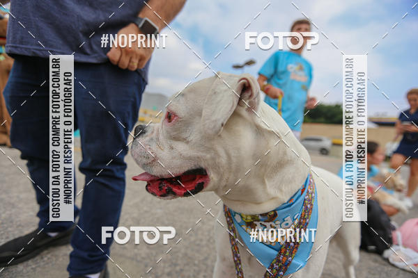 Buy your photos of the eventC�orrida Scooby Doo Internacional Shopping Guarulhos 2019 on Fotop