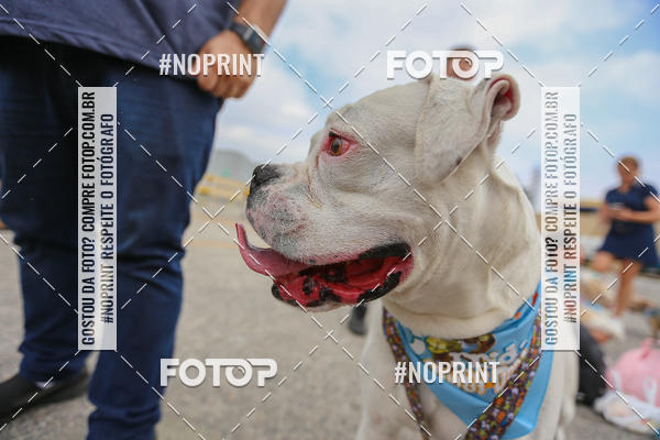 Buy your photos of the eventC�orrida Scooby Doo Internacional Shopping Guarulhos 2019 on Fotop