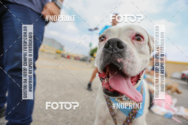 Buy your photos of the eventC�orrida Scooby Doo Internacional Shopping Guarulhos 2019 on Fotop