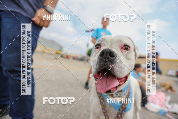 Buy your photos of the eventC�orrida Scooby Doo Internacional Shopping Guarulhos 2019 on Fotop