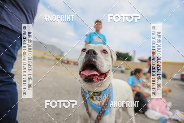 Buy your photos of the eventC�orrida Scooby Doo Internacional Shopping Guarulhos 2019 on Fotop