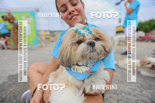 Buy your photos of the eventC�orrida Scooby Doo Internacional Shopping Guarulhos 2019 on Fotop