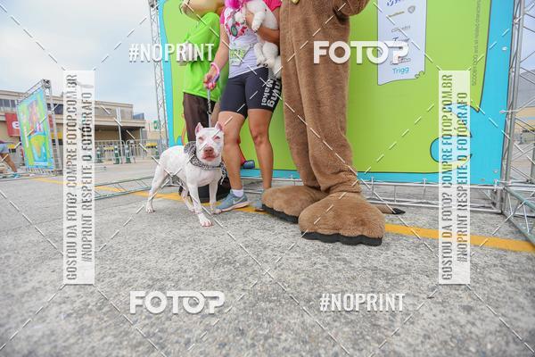 Buy your photos of the eventCorrida Scooby Doo Internacional Shopping Guarulhos 2019 on Fotop