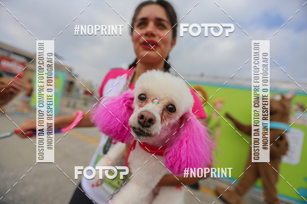 Buy your photos of the eventCorrida Scooby Doo Internacional Shopping Guarulhos 2019 on Fotop