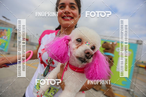 Buy your photos of the eventC�orrida Scooby Doo Internacional Shopping Guarulhos 2019 on Fotop