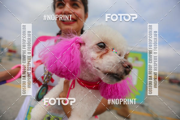 Buy your photos of the eventCorrida Scooby Doo Internacional Shopping Guarulhos 2019 on Fotop