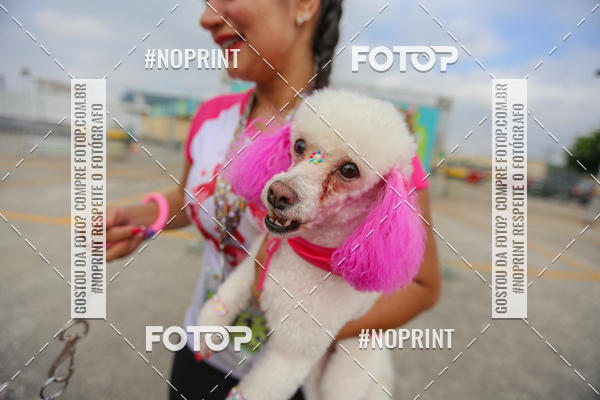 Buy your photos of the eventCorrida Scooby Doo Internacional Shopping Guarulhos 2019 on Fotop