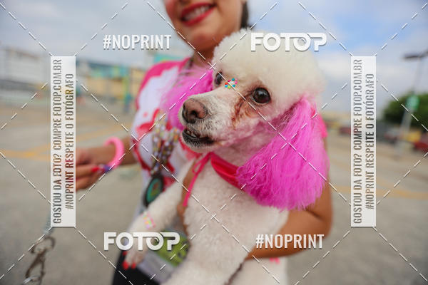 Buy your photos of the eventCorrida Scooby Doo Internacional Shopping Guarulhos 2019 on Fotop