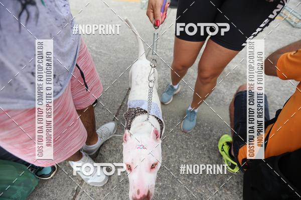 Compre as suas fotos do eventoC�orrida Scooby Doo Internacional Shopping Guarulhos 2019 no Fotop