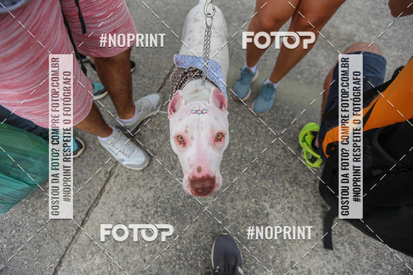 Compre as suas fotos do eventoC�orrida Scooby Doo Internacional Shopping Guarulhos 2019 no Fotop