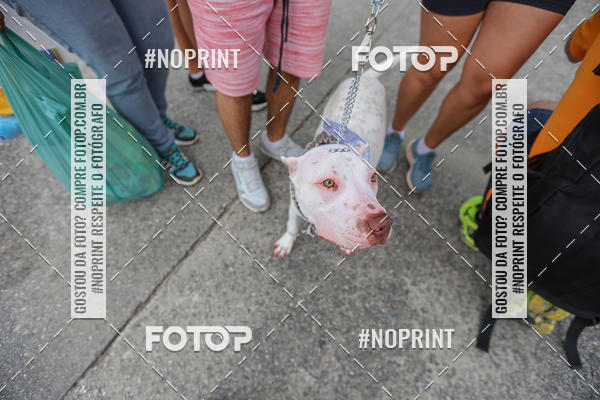 Compre as suas fotos do eventoC�orrida Scooby Doo Internacional Shopping Guarulhos 2019 no Fotop