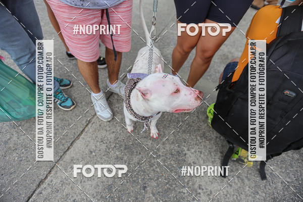 Buy your photos of the eventC�orrida Scooby Doo Internacional Shopping Guarulhos 2019 on Fotop