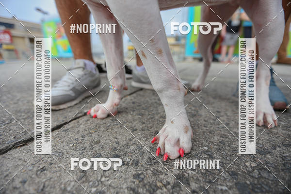 Compre as suas fotos do eventoC�orrida Scooby Doo Internacional Shopping Guarulhos 2019 no Fotop