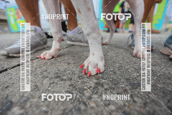 Compre as suas fotos do eventoC�orrida Scooby Doo Internacional Shopping Guarulhos 2019 no Fotop