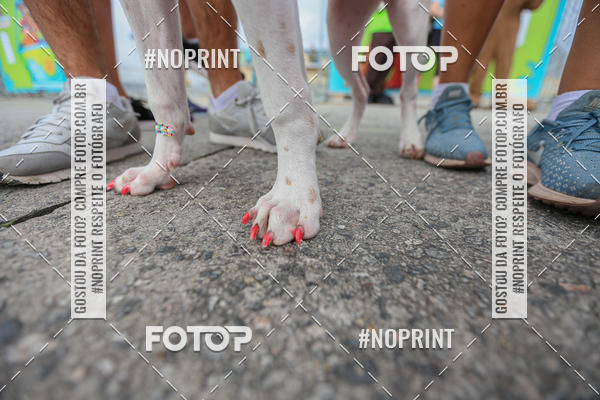 Buy your photos of the eventC�orrida Scooby Doo Internacional Shopping Guarulhos 2019 on Fotop