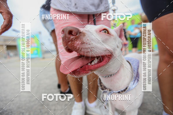 Compre as suas fotos do eventoC�orrida Scooby Doo Internacional Shopping Guarulhos 2019 no Fotop