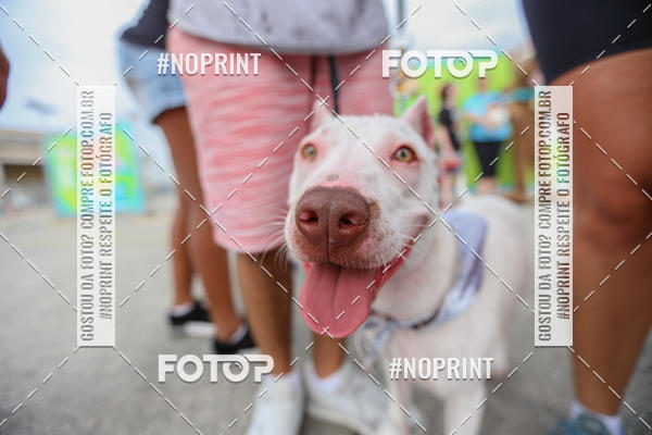 Compre as suas fotos do eventoC�orrida Scooby Doo Internacional Shopping Guarulhos 2019 no Fotop