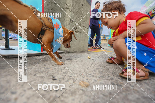 Buy your photos of the eventC�orrida Scooby Doo Internacional Shopping Guarulhos 2019 on Fotop