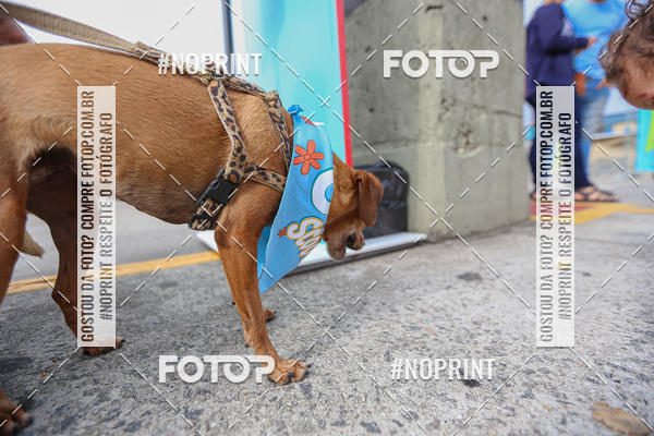 Buy your photos of the eventC�orrida Scooby Doo Internacional Shopping Guarulhos 2019 on Fotop