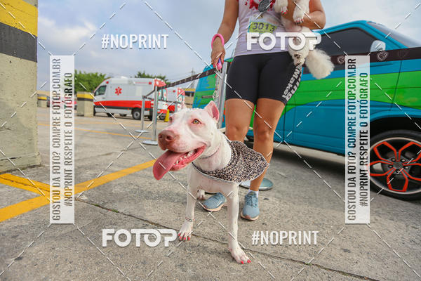 Buy your photos of the eventC�orrida Scooby Doo Internacional Shopping Guarulhos 2019 on Fotop