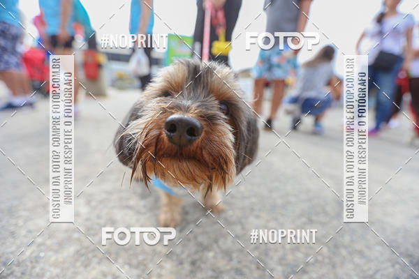 Buy your photos of the eventC�orrida Scooby Doo Internacional Shopping Guarulhos 2019 on Fotop