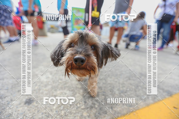 Buy your photos of the eventC�orrida Scooby Doo Internacional Shopping Guarulhos 2019 on Fotop