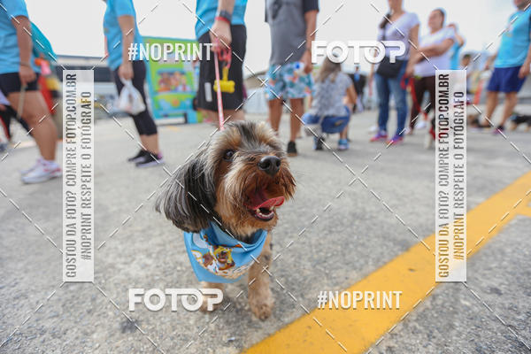 Buy your photos of the eventC�orrida Scooby Doo Internacional Shopping Guarulhos 2019 on Fotop