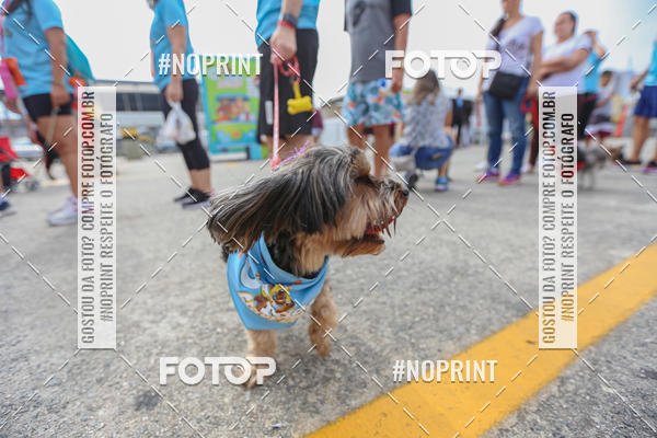 Buy your photos of the eventC�orrida Scooby Doo Internacional Shopping Guarulhos 2019 on Fotop