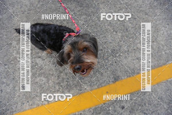 Buy your photos of the eventC�orrida Scooby Doo Internacional Shopping Guarulhos 2019 on Fotop