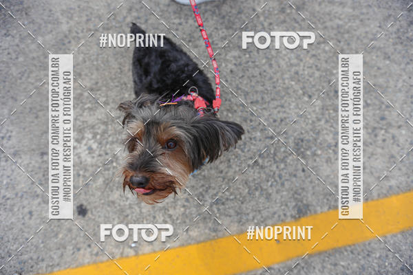 Buy your photos of the eventC�orrida Scooby Doo Internacional Shopping Guarulhos 2019 on Fotop