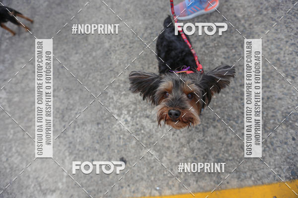 Buy your photos of the eventC�orrida Scooby Doo Internacional Shopping Guarulhos 2019 on Fotop