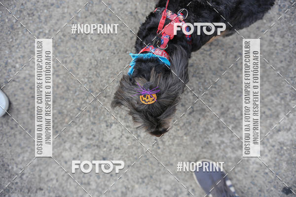 Buy your photos of the eventC�orrida Scooby Doo Internacional Shopping Guarulhos 2019 on Fotop