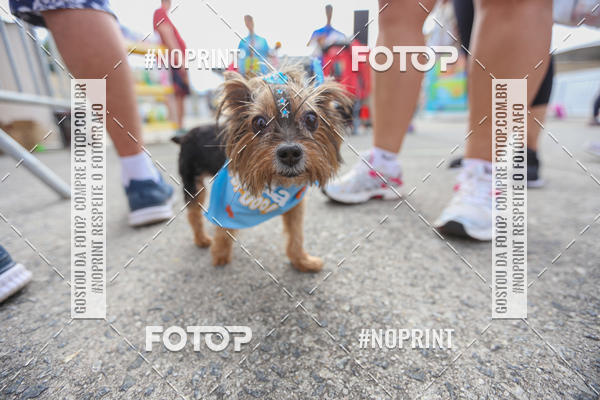 Buy your photos of the eventC�orrida Scooby Doo Internacional Shopping Guarulhos 2019 on Fotop