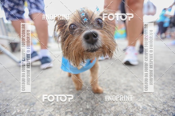 Buy your photos of the eventC�orrida Scooby Doo Internacional Shopping Guarulhos 2019 on Fotop