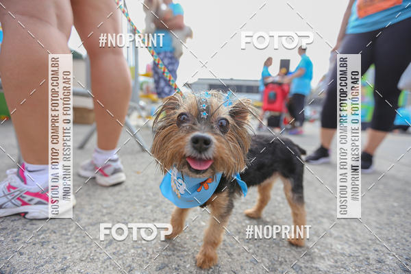 Buy your photos of the eventC�orrida Scooby Doo Internacional Shopping Guarulhos 2019 on Fotop