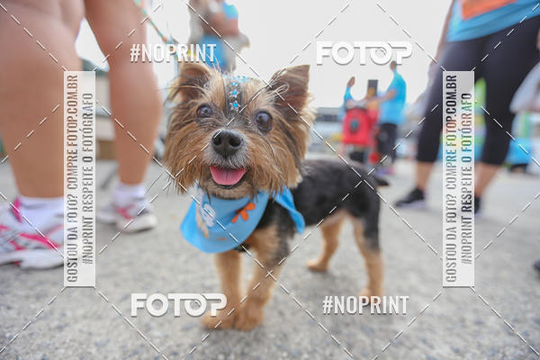 Buy your photos of the eventC�orrida Scooby Doo Internacional Shopping Guarulhos 2019 on Fotop