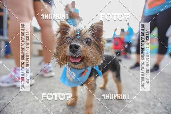 Buy your photos of the eventC�orrida Scooby Doo Internacional Shopping Guarulhos 2019 on Fotop