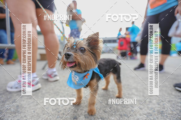 Buy your photos of the eventC�orrida Scooby Doo Internacional Shopping Guarulhos 2019 on Fotop