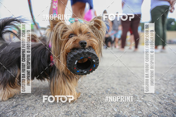 Buy your photos of the eventC�orrida Scooby Doo Internacional Shopping Guarulhos 2019 on Fotop