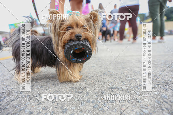 Buy your photos of the eventC�orrida Scooby Doo Internacional Shopping Guarulhos 2019 on Fotop