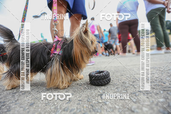 Buy your photos of the eventC�orrida Scooby Doo Internacional Shopping Guarulhos 2019 on Fotop