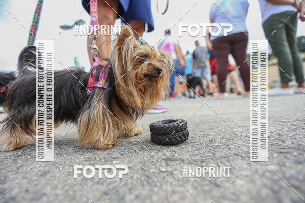 Buy your photos of the eventC�orrida Scooby Doo Internacional Shopping Guarulhos 2019 on Fotop