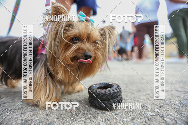 Buy your photos of the eventC�orrida Scooby Doo Internacional Shopping Guarulhos 2019 on Fotop