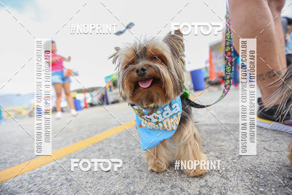 Buy your photos of the eventC�orrida Scooby Doo Internacional Shopping Guarulhos 2019 on Fotop