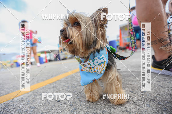 Buy your photos of the eventC�orrida Scooby Doo Internacional Shopping Guarulhos 2019 on Fotop