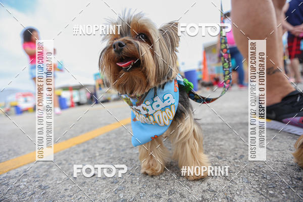 Buy your photos of the eventC�orrida Scooby Doo Internacional Shopping Guarulhos 2019 on Fotop