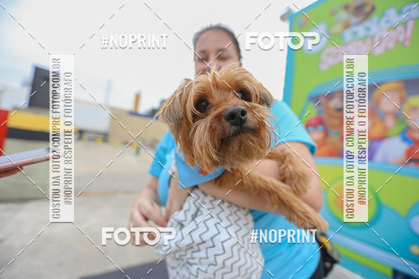 Buy your photos of the eventC�orrida Scooby Doo Internacional Shopping Guarulhos 2019 on Fotop